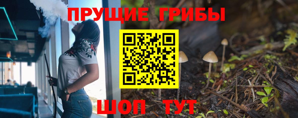 Псилоцибиновые грибы GOLDEN TEACHER  Вход с VPN  Заводоуковск 